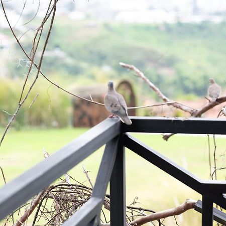 Hotel Pachamama Campestre Dosquebradas Luaran gambar